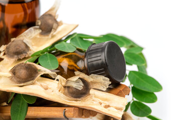 Moringa green leaves ,seeds and extracted in the bottle isolated on white background.
