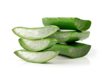 Aloe vera green leaves isolated on white background.