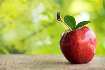 Red apple fruit on nature background.