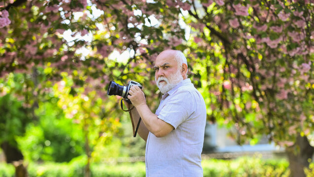 photographer man take sakura cheery blossom photo. Cherry blossoming garden. photographer taking photos of famous cherry blossoms. spring season with full bloom pink flower