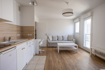 studio parisien présentant un petit espace bien aménagé et bien meublé pour valorisé l'espace. - obrazy, fototapety, plakaty