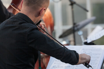 Musicians play in a concert in the botanical garden.