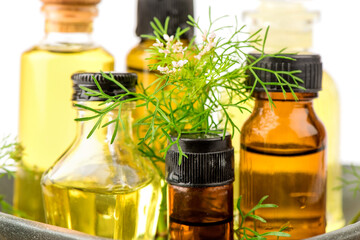Dill and extracted in the bottle isolated on white background.