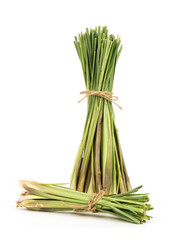 Lemon grass trees isolated on white background.