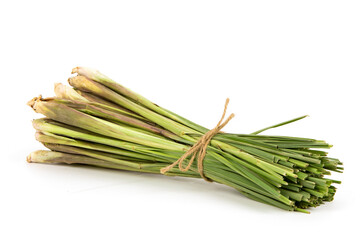 Lemon grass trees isolated on white background.