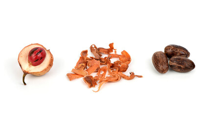 Fresh nutmeg ,dried mace and seeds  isolated on white background.