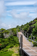 Fototapeta premium Climbing Mt. Halla is like walking on clouds.