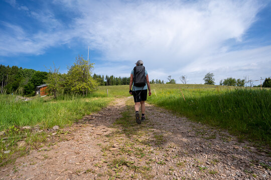 Schwarzwald bei Biederbach