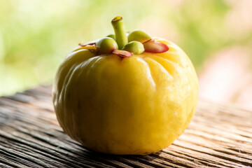 Garcinia and garcinia atroviridis fruit on nature background.