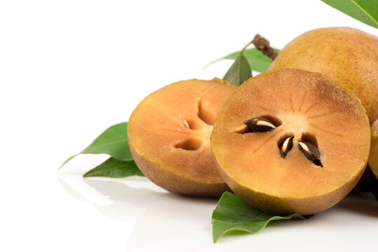 Sapodilla or manilkara zapota fruits isolated on white background.