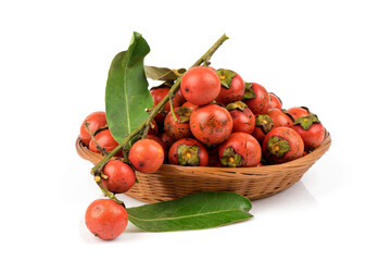 Sacred fig tree or diospyros malabarica fruits isolated on white background.