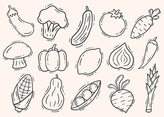 hand drawn doodle fruit and vegetable