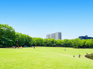 青空と緑の公園