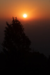sunrise behind the tree on the early morning with golden sky. Sunrise behind the grass on the grass field