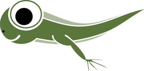 Cartoon frog tadpole with legs isolated on white background