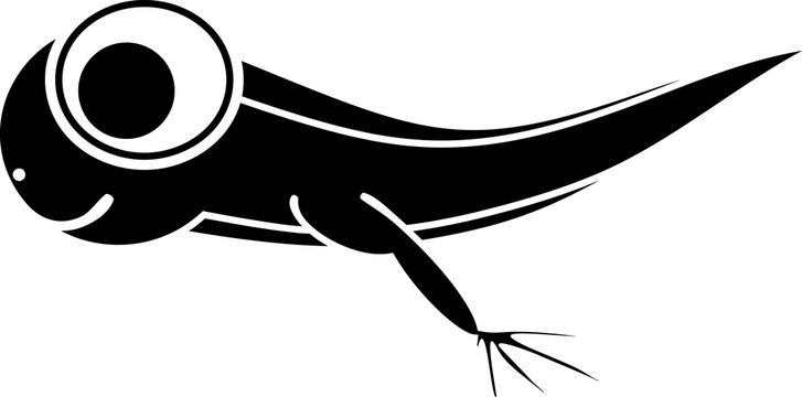 black tadpole swimming, minimalist style, white background clip art preview
