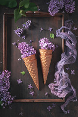 Gorgeous lilac flowers in wafer cone. Floral concept for summer.
