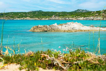(Selective focus) Stunning view of a coastline bathed by a turquoise, clear sea. Rena Majore is a small seaside village that's located south of Santa Teresa Gallura, Sardinia, Italy.