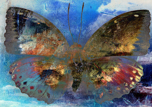 Abstract butterfly 