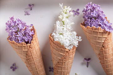 Violet lilac flowers as ice cream. Unique floral arrangement