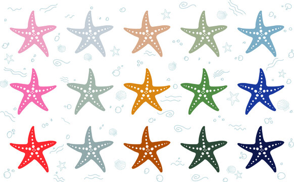 Vector Of The Boho Color Starfish 
