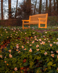 Obraz premium park with flowers