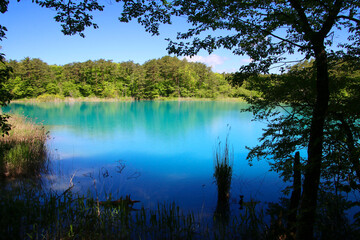 初夏の五色沼・弁天沼（福島県・北塩原村）