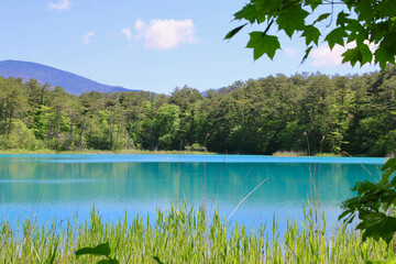 初夏の五色沼・弁天沼（福島県・北塩原村）