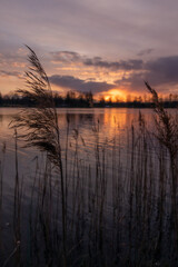Lake and sunset