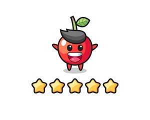 the illustration of customer best rating, cherry cute character with 5 stars