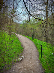 Mountain winding path through the forest. Earth covered with green grass and budding trees. Alone in the middle of nature. Beautiful spring landscape.