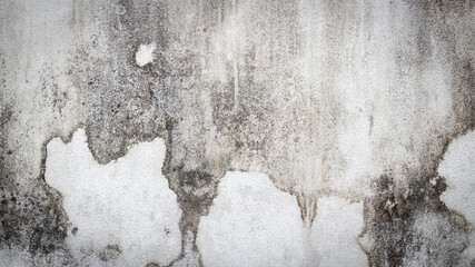 Concrete walls outside the building where black mold occurs.