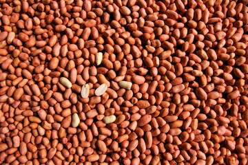Peanuts  texture background stock photo 