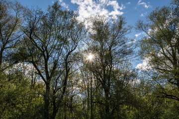 Obraz premium Schotter, Straße, Radfahren, Freizeit