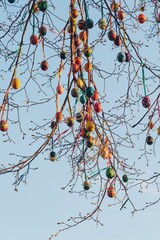 Easter eggs hang on a tree in the garden	