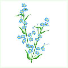 Forget-me-not flower bouquet.