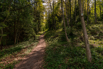 Along the premium hiking trail 