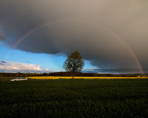 Naklejka premium rainbow over field