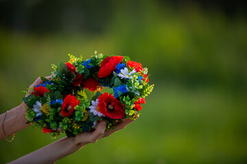 Midsummer in Latvia: celebration of Ligo - a young woman weave a wreath and collect field flowers