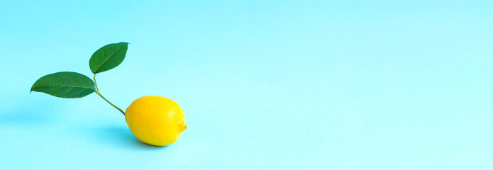 Lemon with branches on light blue background.  水色背景上の枝つきレモン
