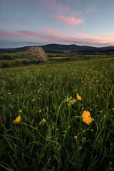 sunset in the field and mountains