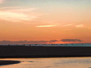 Fototapeta premium Summer Beach 
