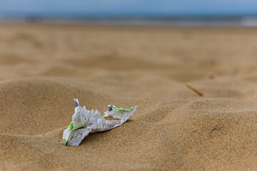 Fototapeta na wymiar Beach with paper napkin litter
