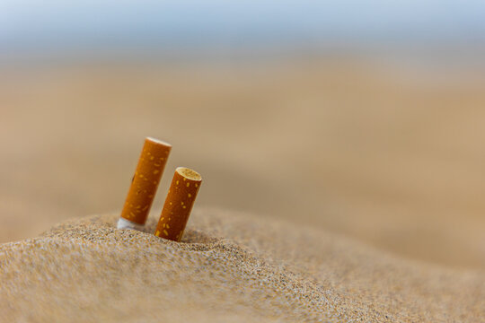 Close up of two cigarette butts on sandy beach
