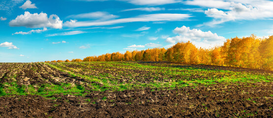 Agro field in autumn