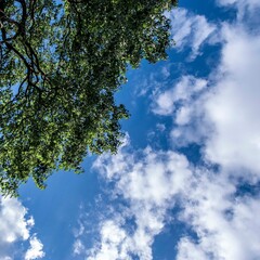 空
