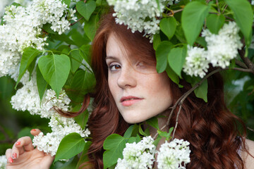 A beautiful young woman with red curly hair and freckels in a white dress in a white lilac garden in spring time.