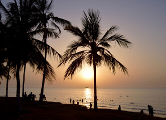 Fototapeta na wymiar palm trees at sunset | silhouette of trees at sunset | sunset in the palm | sun between palm | silhouette of a persons on the beach 