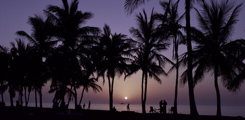 Fototapeta premium sunset in the palm | sun between palm | silhouette of a persons on the beach 