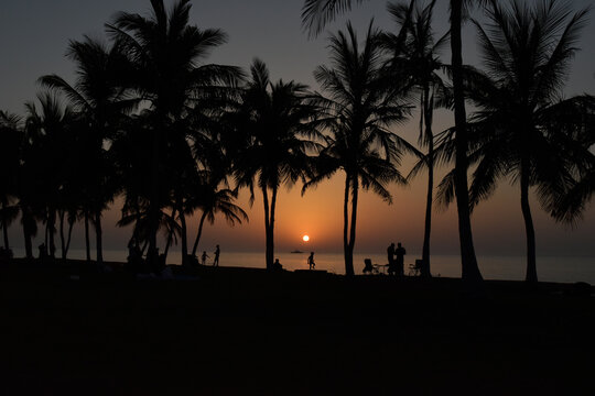 sunset in the palm | sun between palm | silhouette of a persons on the beach 